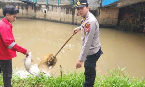 Gudang Pestisida Terbakar dan Cemari Kali Di Jalatreng Tangsel, Ratusan Ikan Mati Mengambang